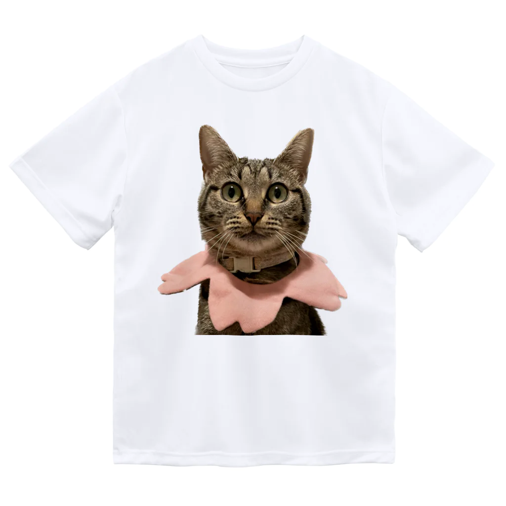 ふぇっとのうちの猫 ドライTシャツ