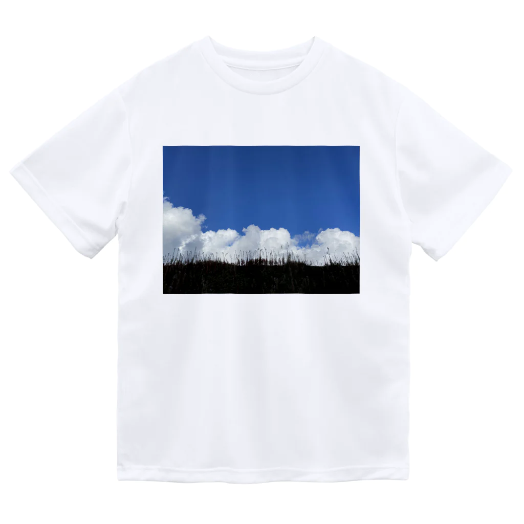 fra Denmarkの夏の空　北欧 ドライTシャツ