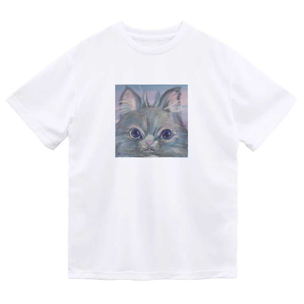 猫のきぬくんのお店のフクロウじゃないもん Dry T-Shirt