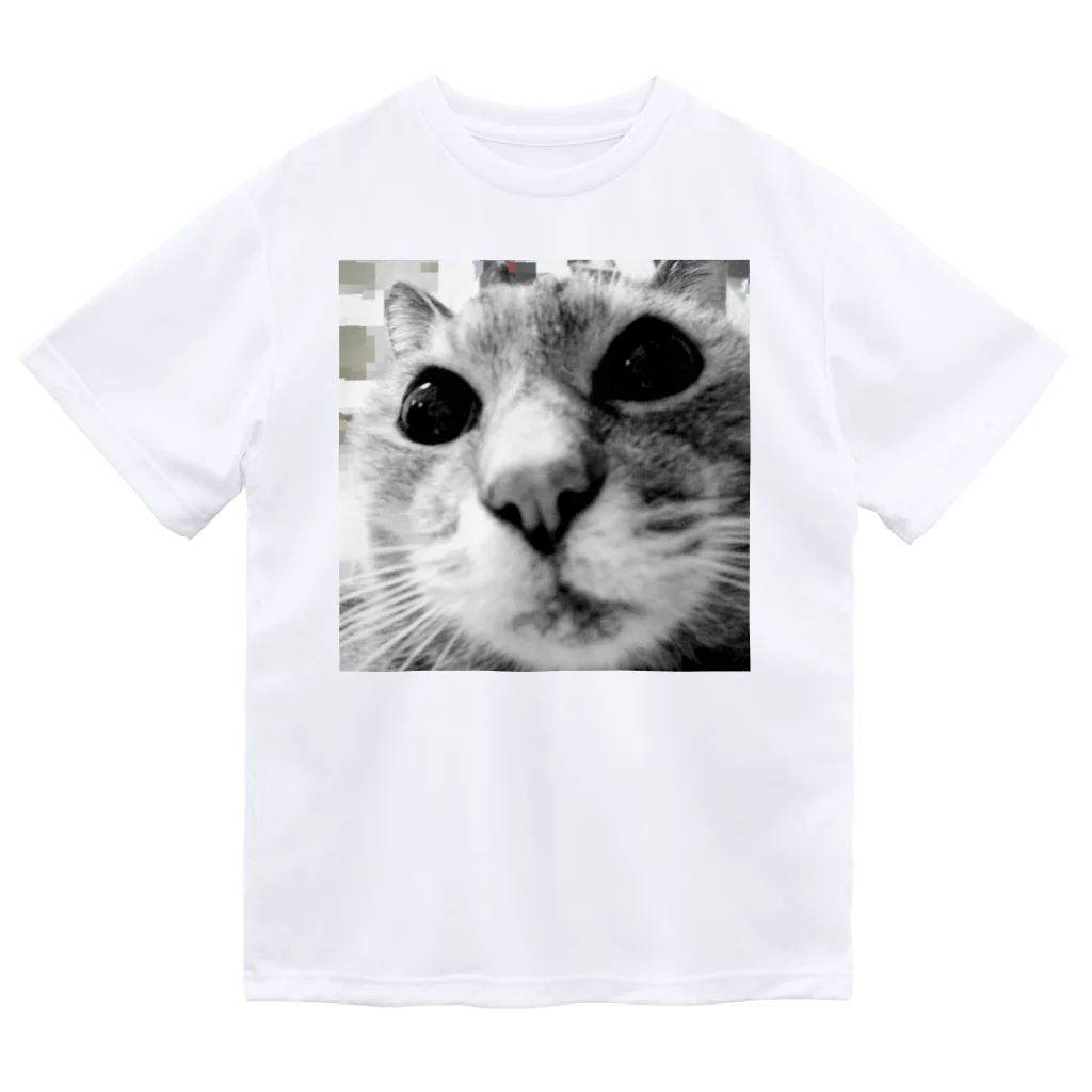 CBC19の二代目猫 ドライTシャツ