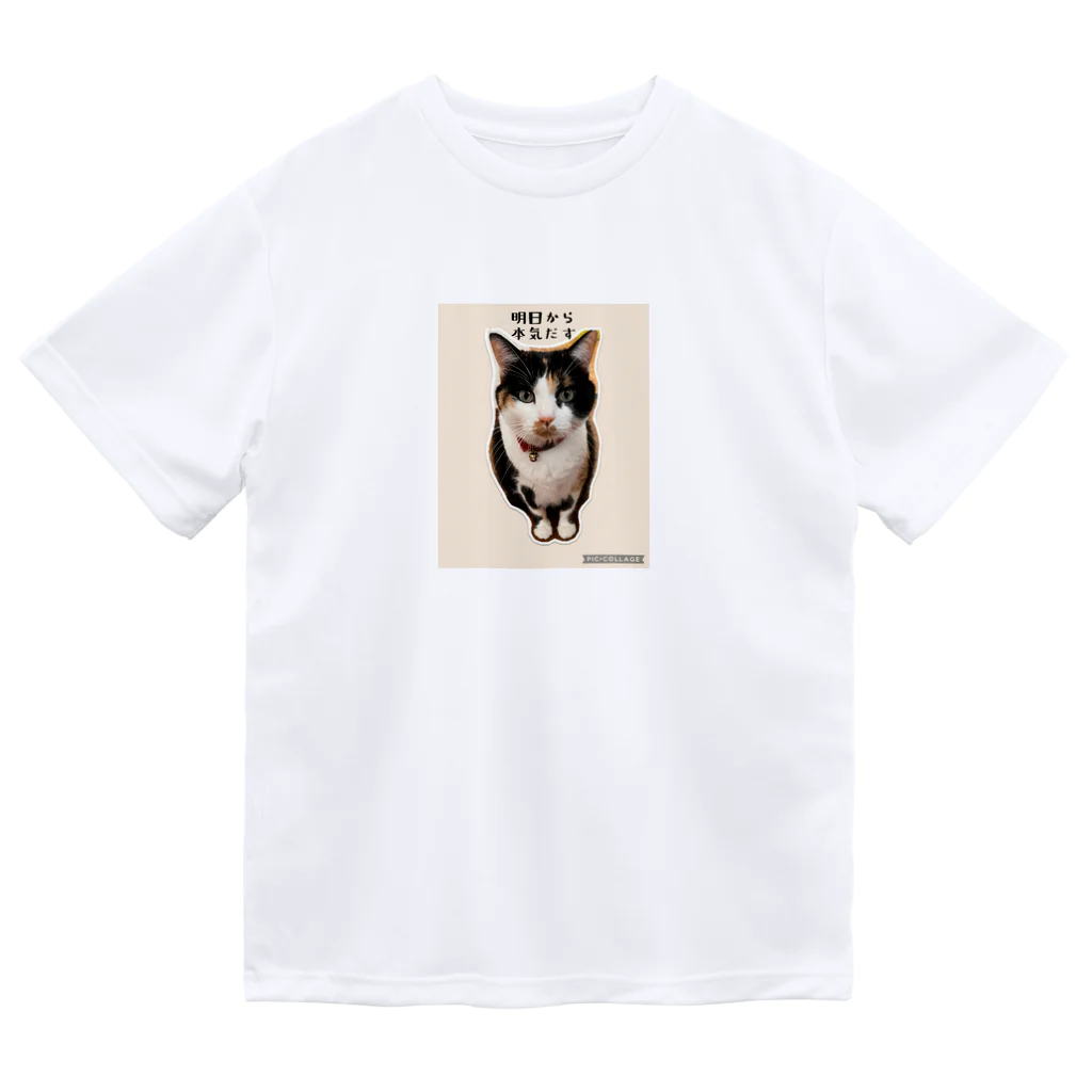 じろきちels-02cの三毛猫なっちゃん、 ドライTシャツ