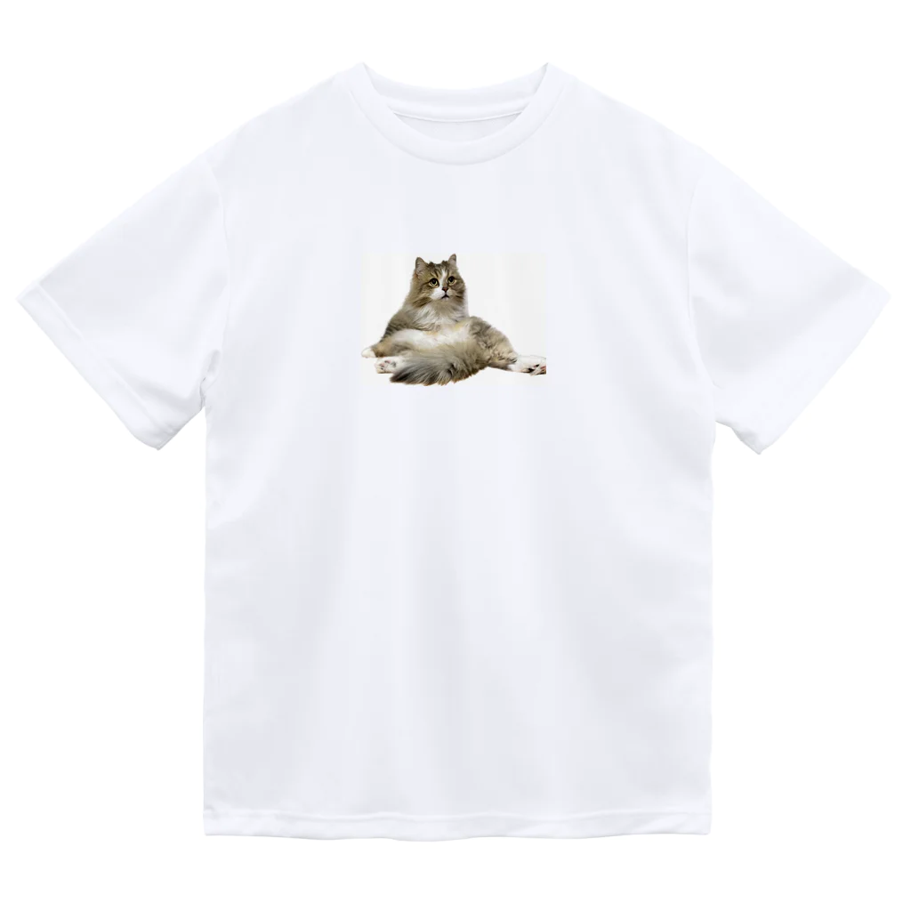 onarisanちのにゃんこたちのおすわりこむにゃんこ Dry T-Shirt