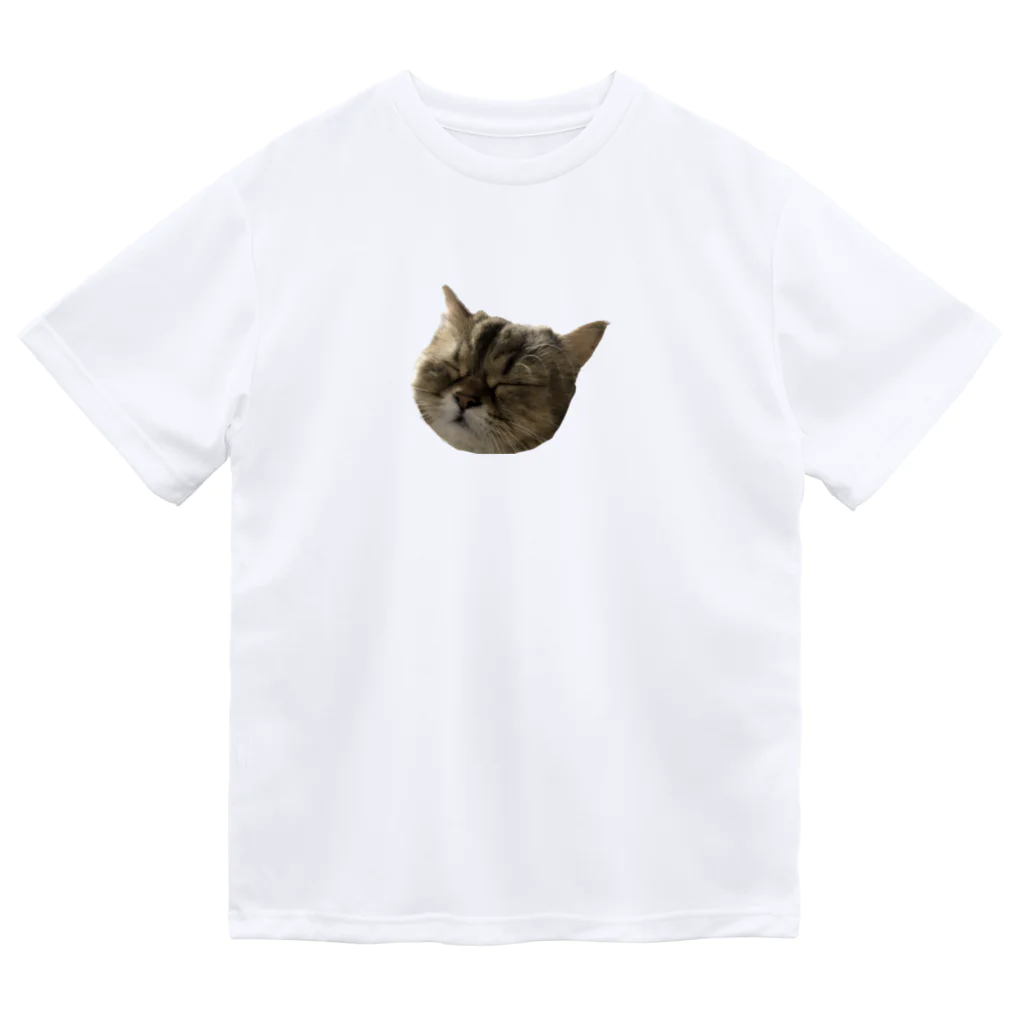 onarisanちのにゃんこたちのつんこのむーーーん Dry T-Shirt