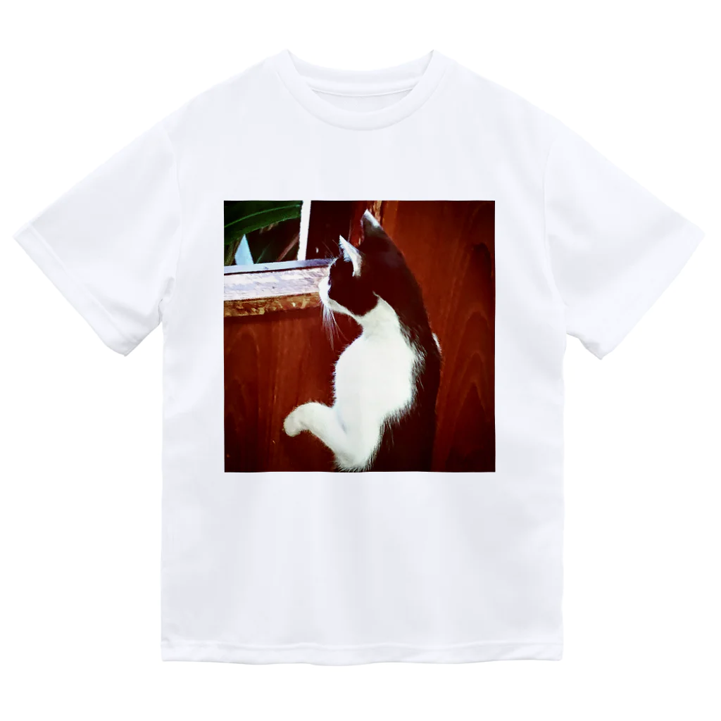 天光のねこ部屋の窓際のプリンちゃん Dry T-Shirt