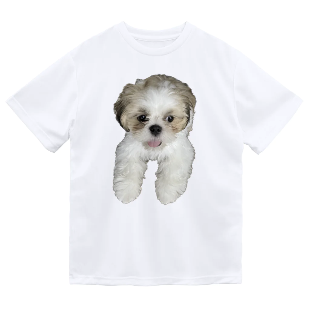 こつきと愛犬の茶々丸の狐月(こつき)の愛犬茶々丸 Dry T-Shirt