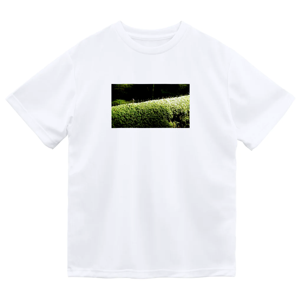 CHERRYの苔苔くん ドライTシャツ