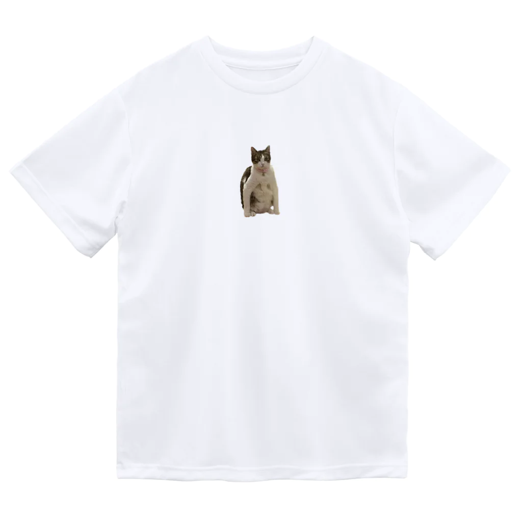 ちゃんかなの親知らずのニャンピョウ的なキューチ Dry T-Shirt