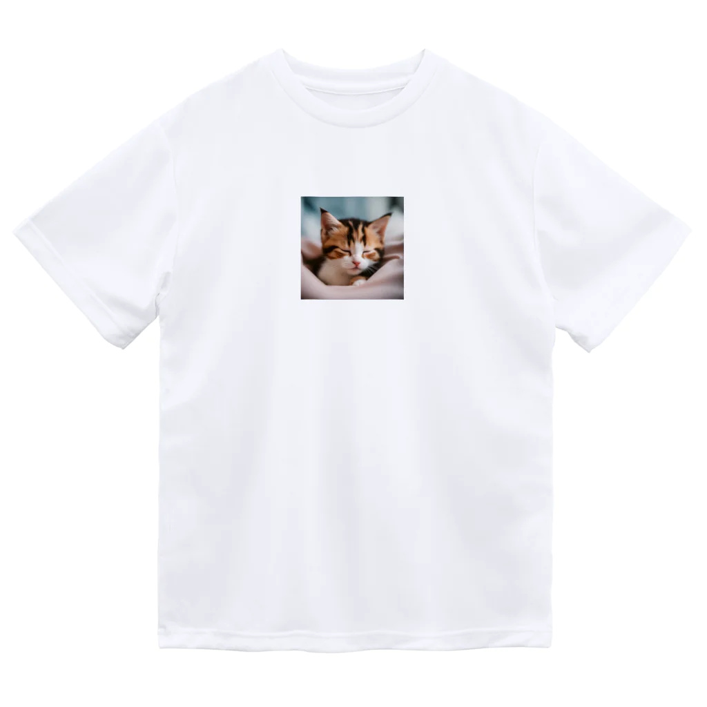 cat-parkのおやすみ・・・・ Dry T-Shirt