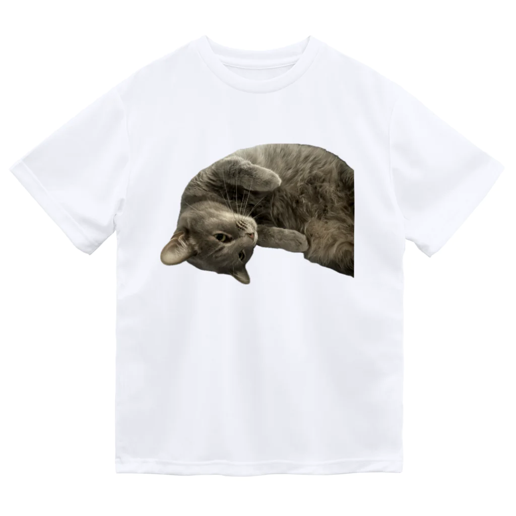 グレージュ猫ロッタン🐈‍⬛のロッタンのリラックスタイム Dry T-Shirt