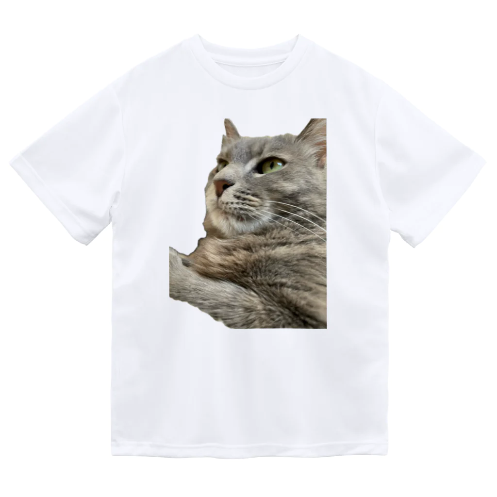 グレージュ猫ロッタン🐈‍⬛の緊張ロッタン Dry T-Shirt