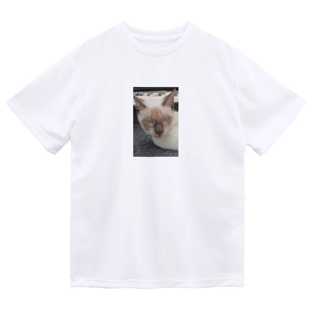 Makoto_Kawano Designの悪そうなのにカワイイ猫ちゃん Dry T-Shirt