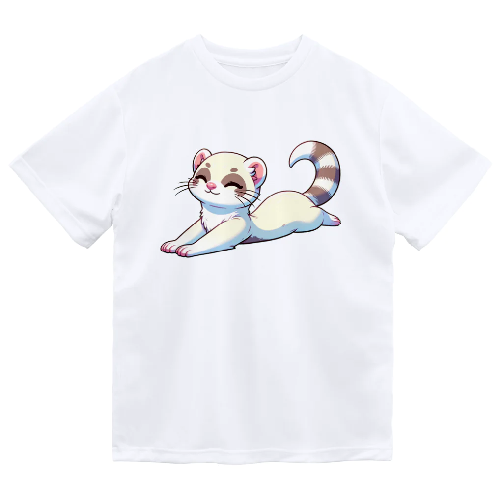 べっち©︎ののんびりフェレットちゃん🐾 Dry T-Shirt