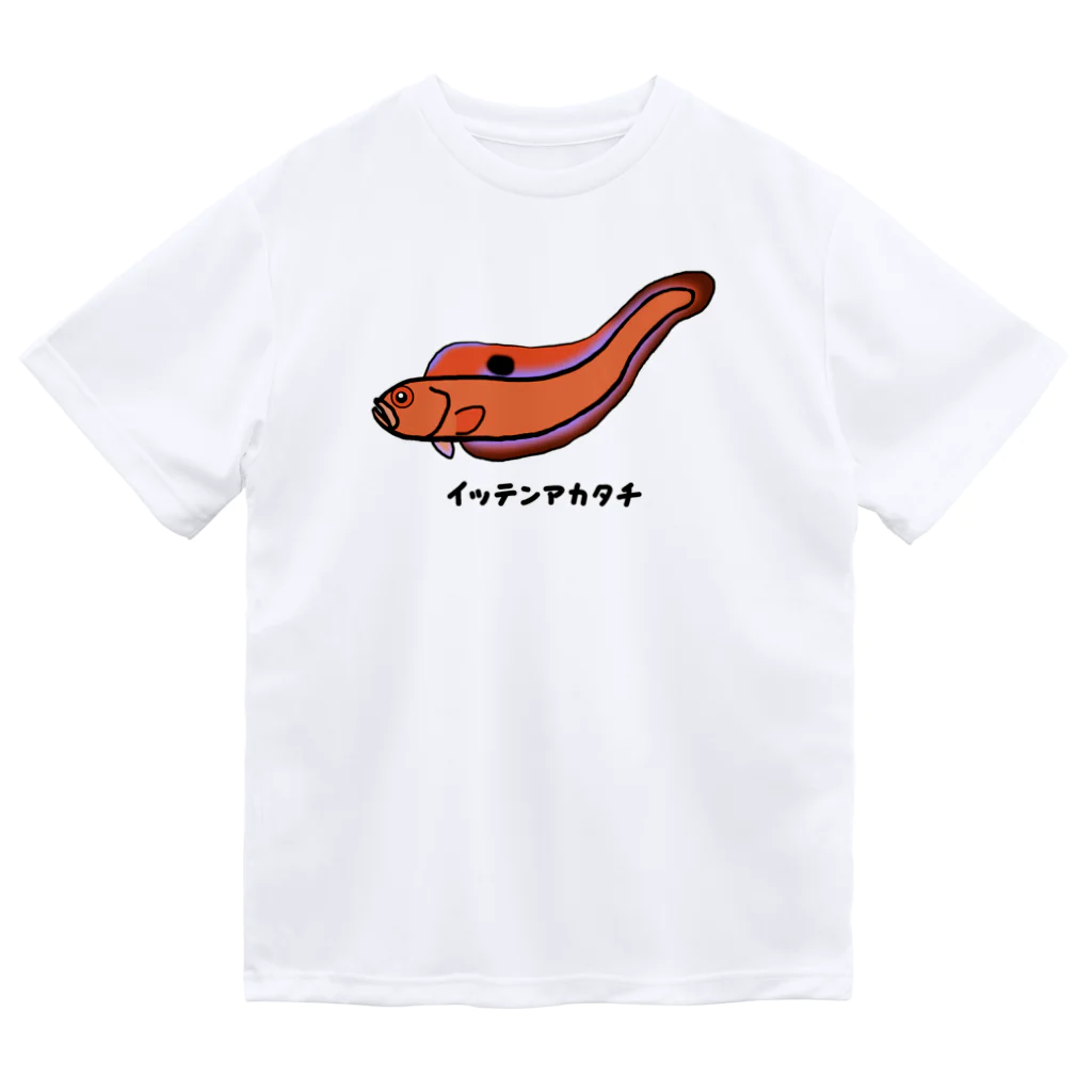 脂身通信Ｚの【魚シリーズ】イッテンアカタチ♪231103 ドライTシャツ