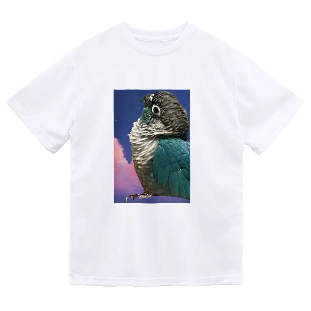 ウロコインコ好きの人へのあおいちゃん黄昏 Dry T-Shirt