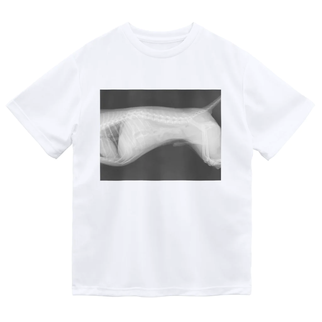 nireのいぬのレントゲン Dry T-Shirt