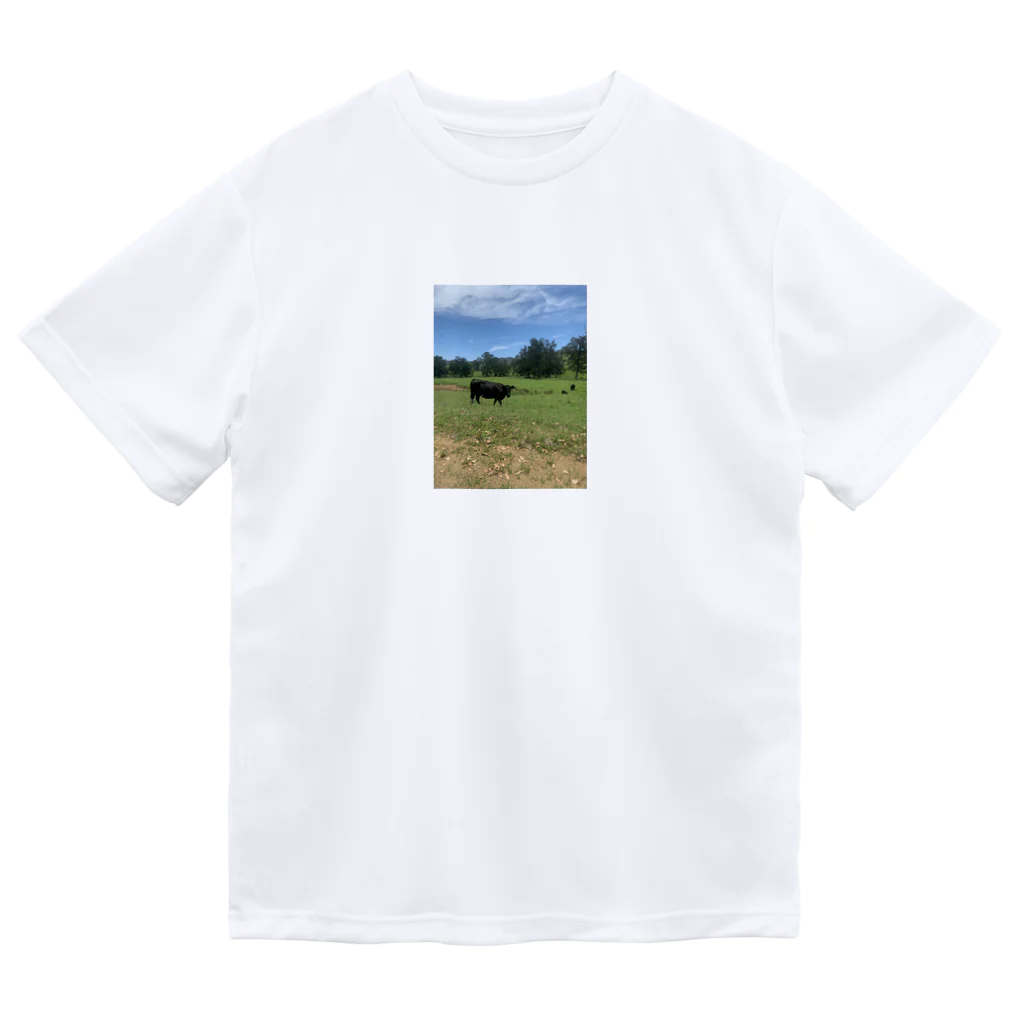 YASUE ABE JPのFarm ドライTシャツ