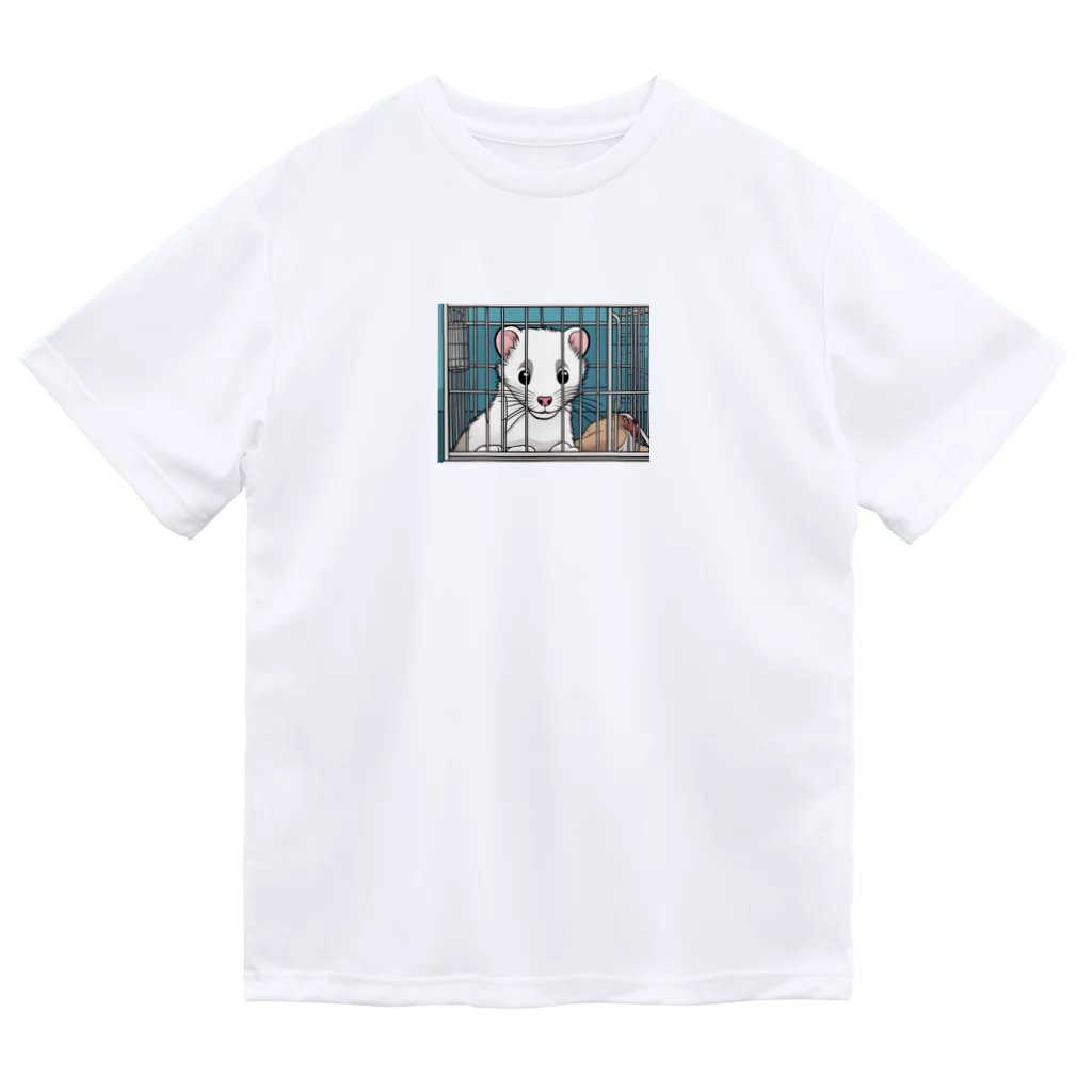 ai-open-202402のフェレット ドライTシャツ