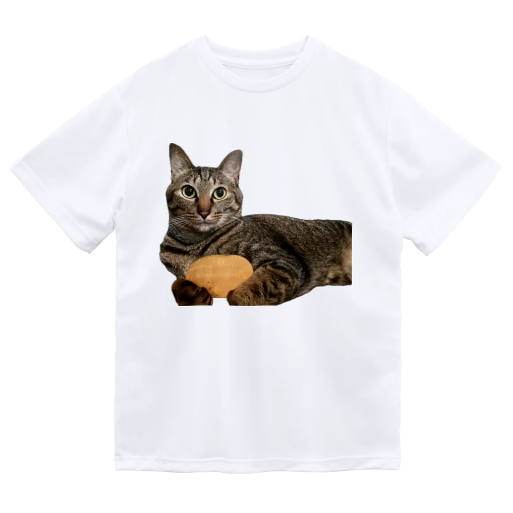 オレはニャン蔵の『猫に小判』オレはニャン蔵 Dry T-Shirt