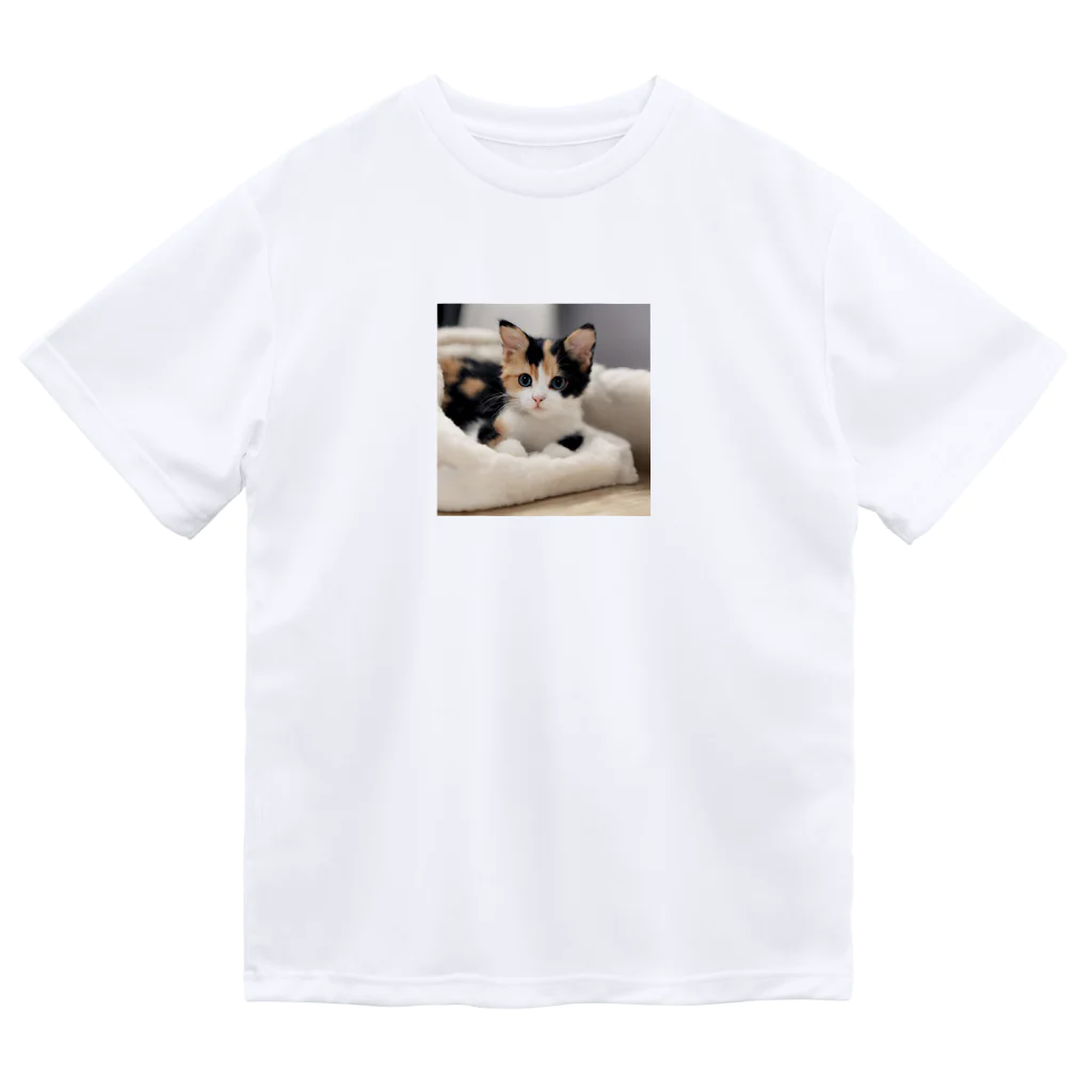 癒しリフレッシュの愛らしい子猫ちゃん ドライTシャツ