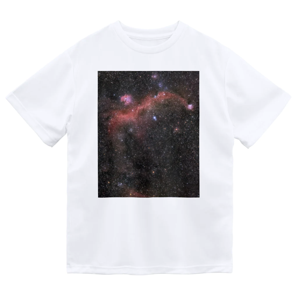 S204_Nanaのカモメ星雲 ドライTシャツ