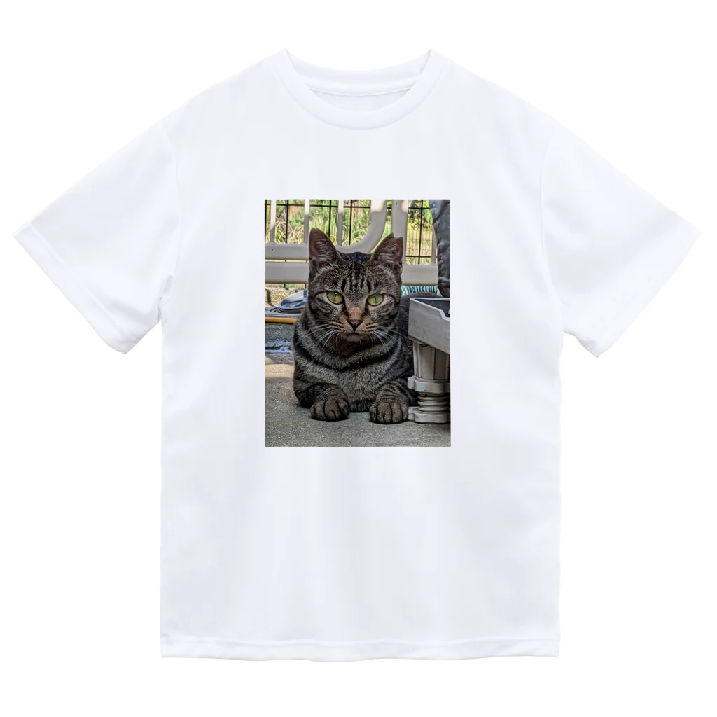 喜多村商店のさくら猫のCHAR(シャア) ドライTシャツ
