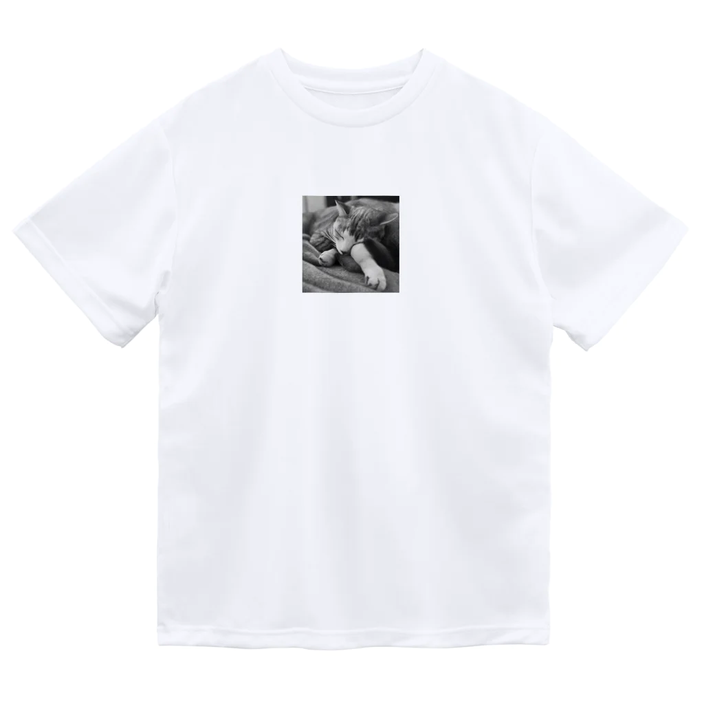 chocomegane0228のモノクロ猫 Dry T-Shirt