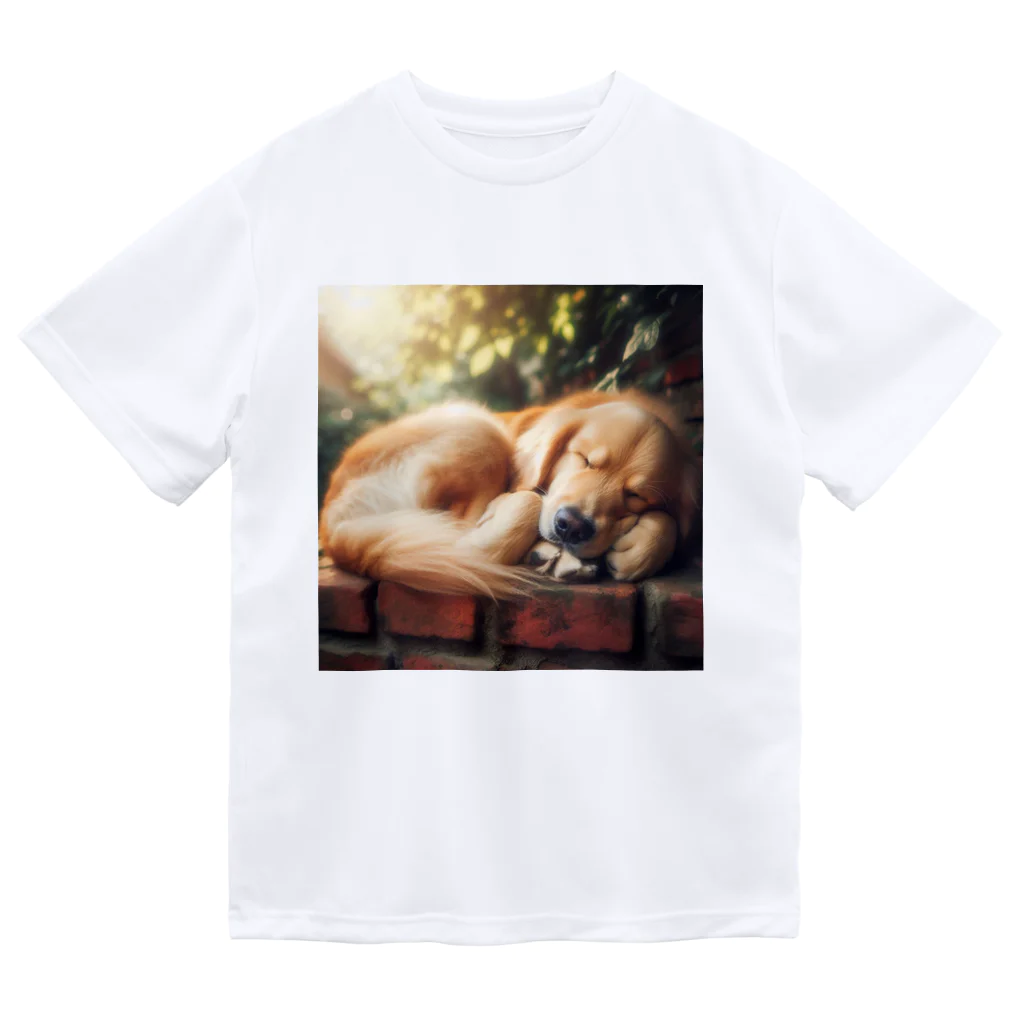 Ykhsの犬がぐっすり眠っている姿、超キュート！🐶💤 Dry T-Shirt