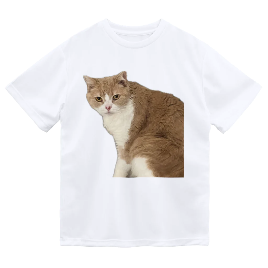 Mashlyのマシロくん猫グッズ ドライTシャツ