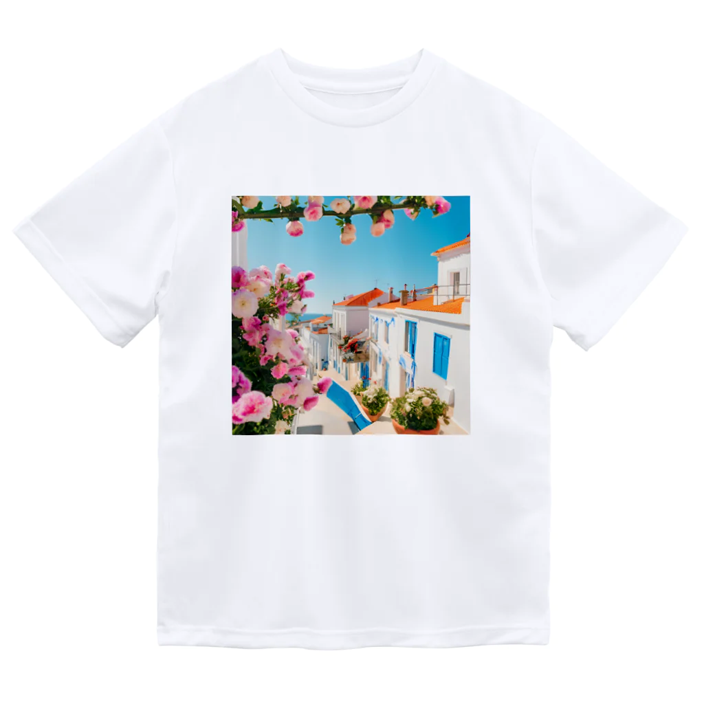 HOSHI-TANEKO🌠の🌺南欧家並み🏠 Dry T-Shirt