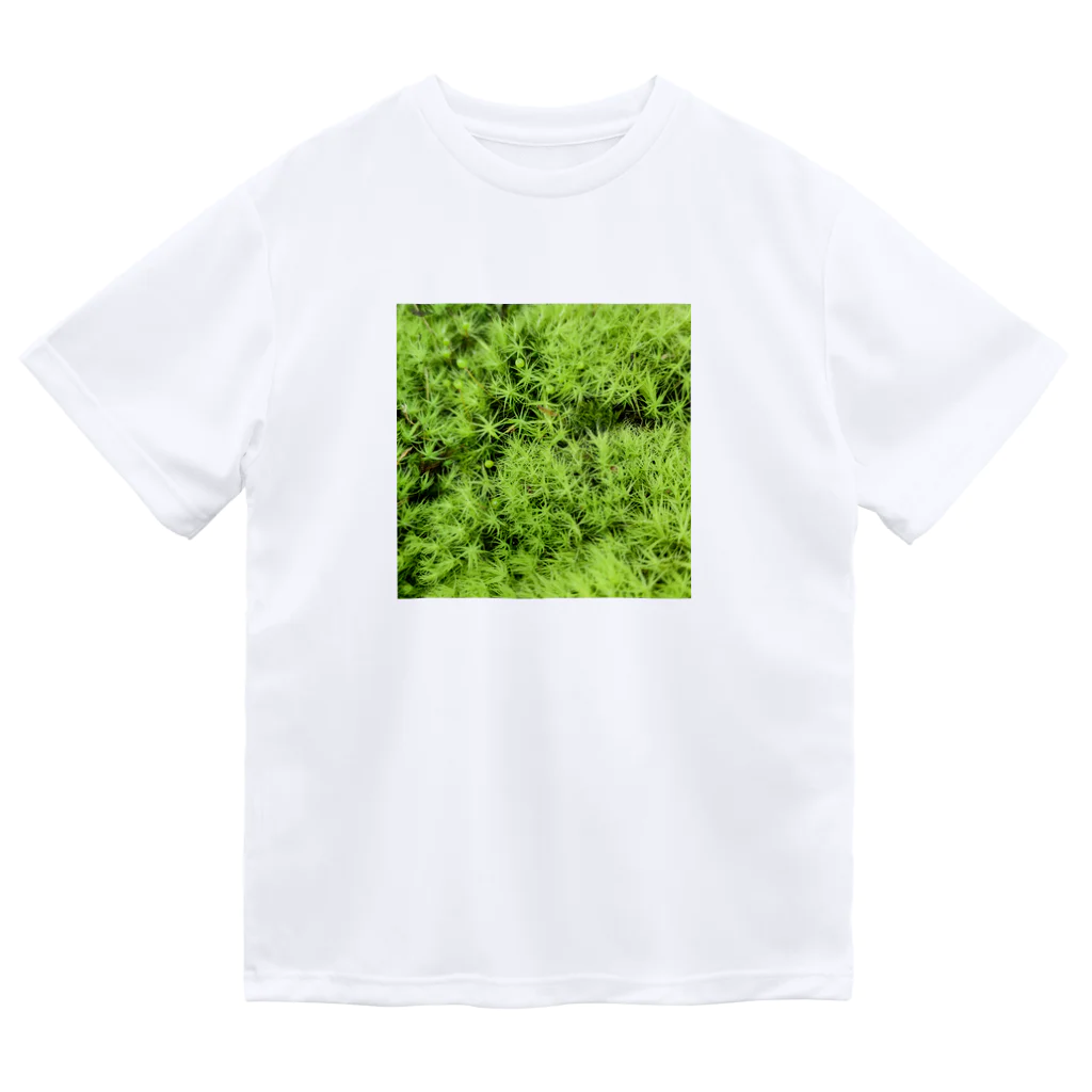 アトリエWindwingの苔グッズ（タマゴケ玉つき） Dry T-Shirt