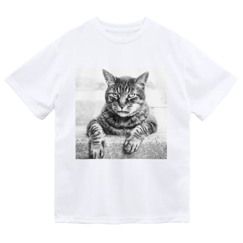 Cafe_antibesのドラちゃん 2 Dry T-Shirt