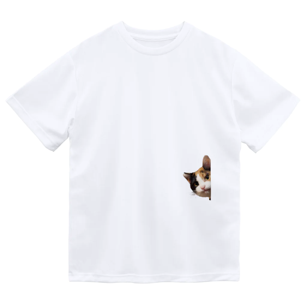 ことりこのひょっこりことりこ Dry T-Shirt