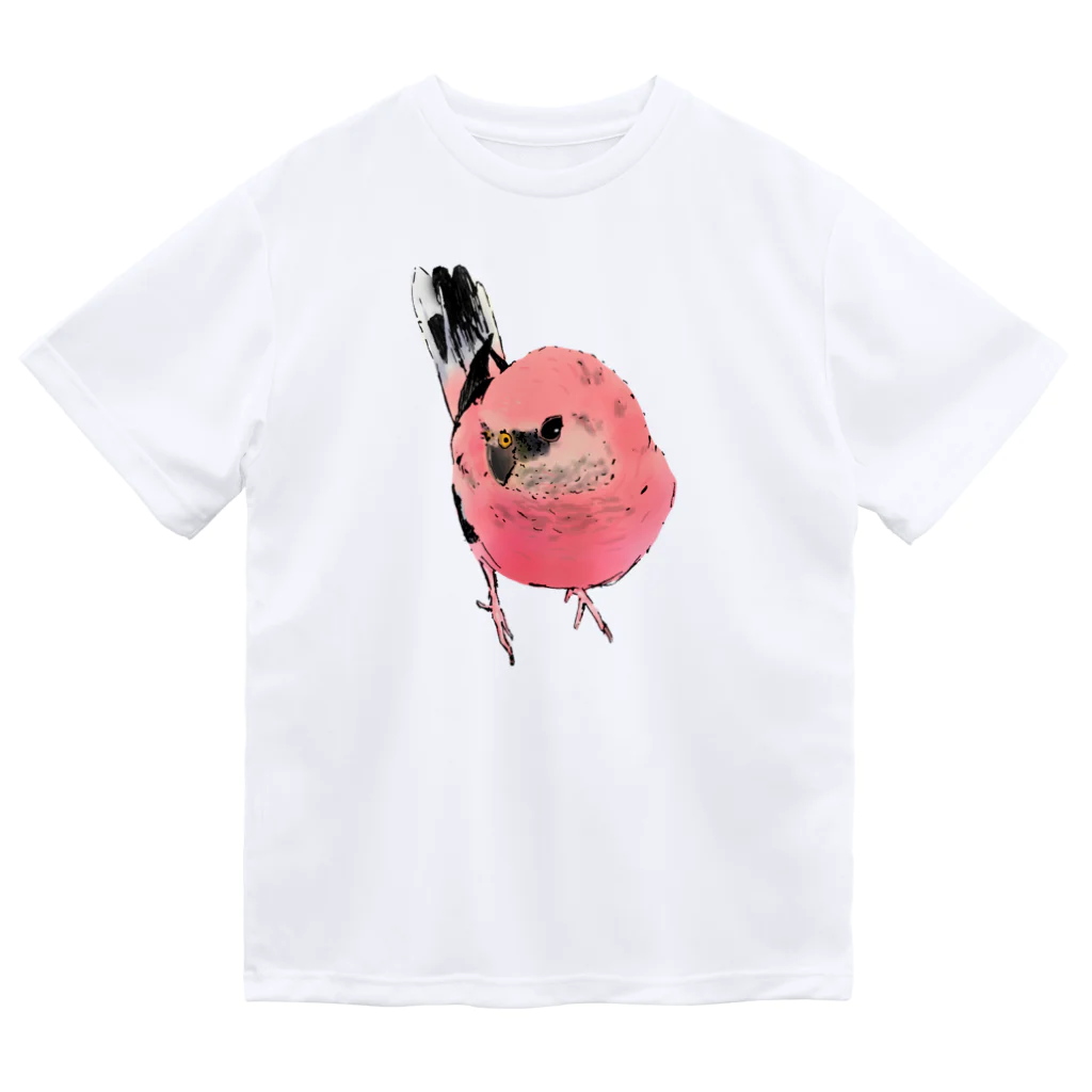 アキクサインコとウロコインコの見つめるアキクサインコ ドライTシャツ