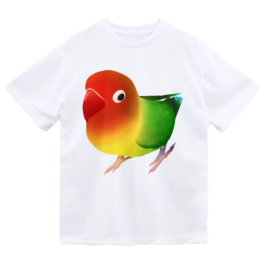 まめるりはことりのボタンインコ　おすましルリゴシボタンインコ【まめるりはことり】 Dry T-Shirt