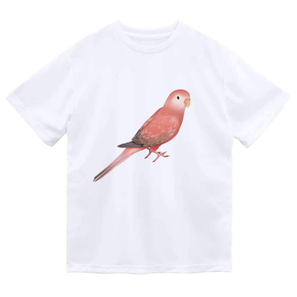 まめるりはことりのアキクサインコ　ピンク【まめるりはことり】 Dry T-Shirt