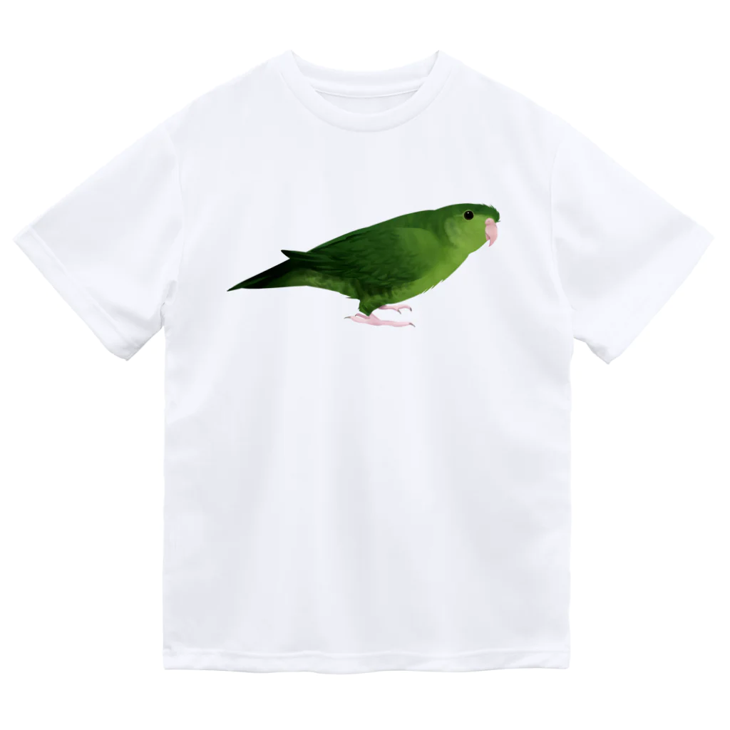 まめるりはことりのサザナミインコ　グリーン【まめるりはことり】 ドライTシャツ