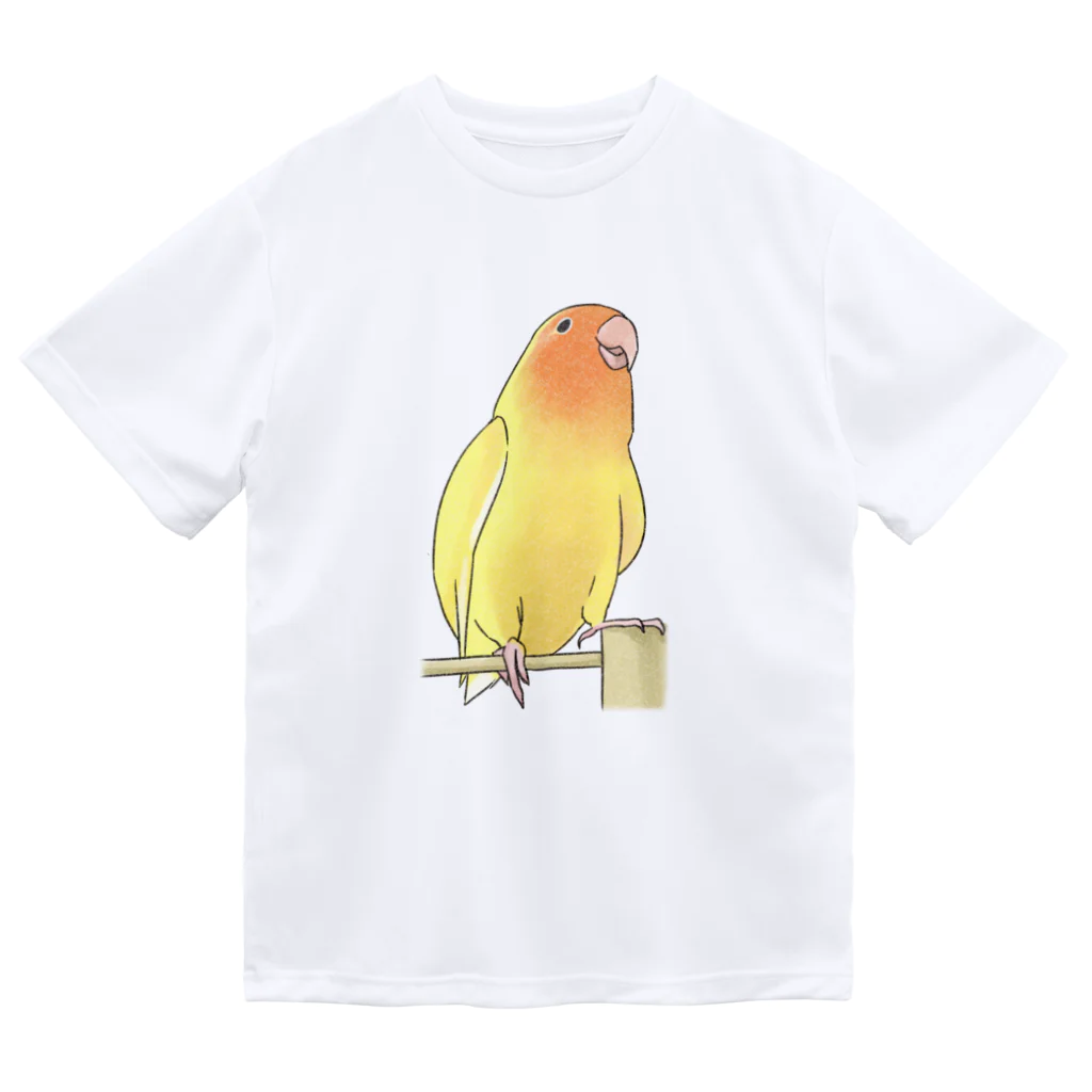 まめるりはことりの得意げ可愛い　コザクラインコちゃん【まめるりはことり】 ドライTシャツ