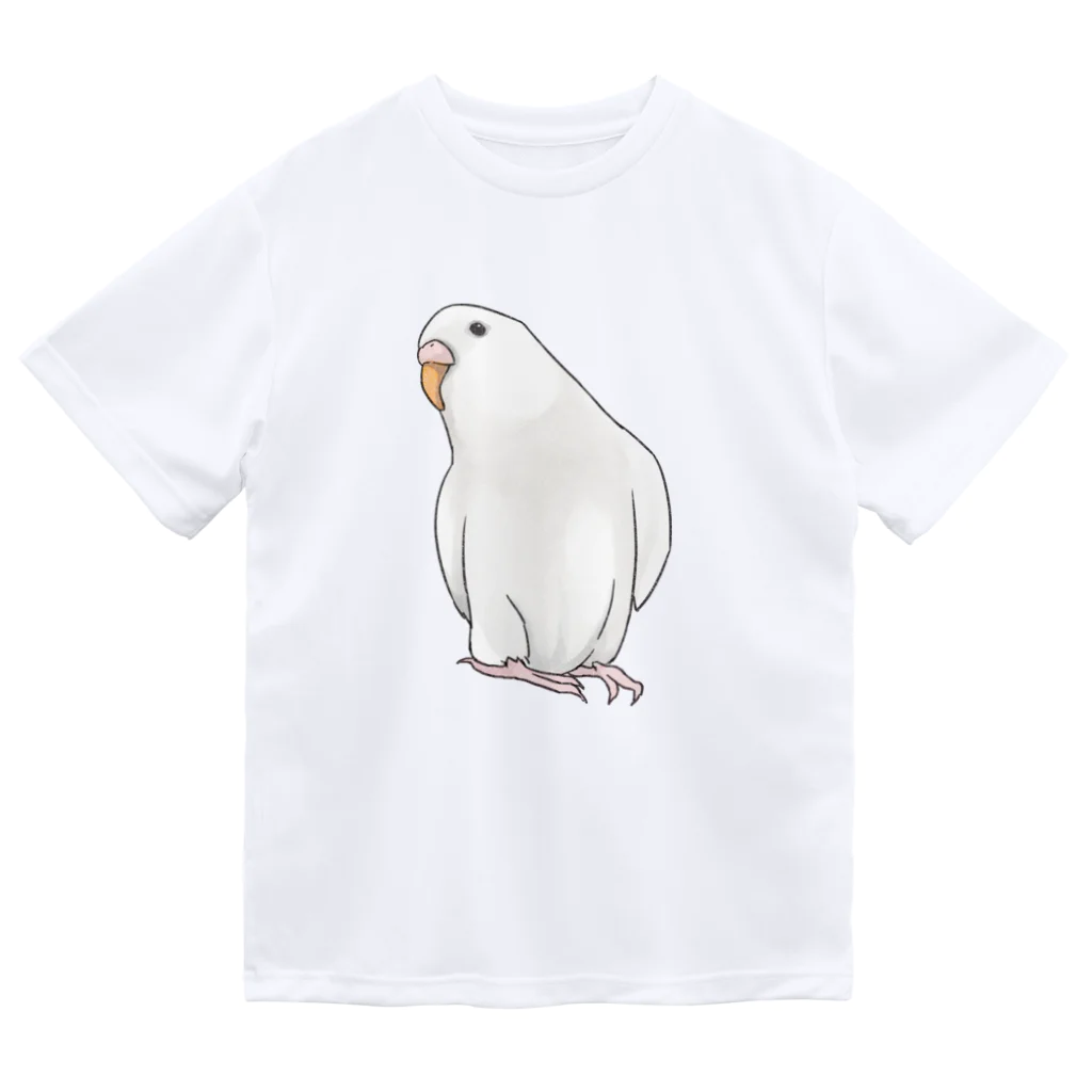 まめるりはことりのアルビノセキセイインコちゃん【まめるりはことり】 ドライTシャツ