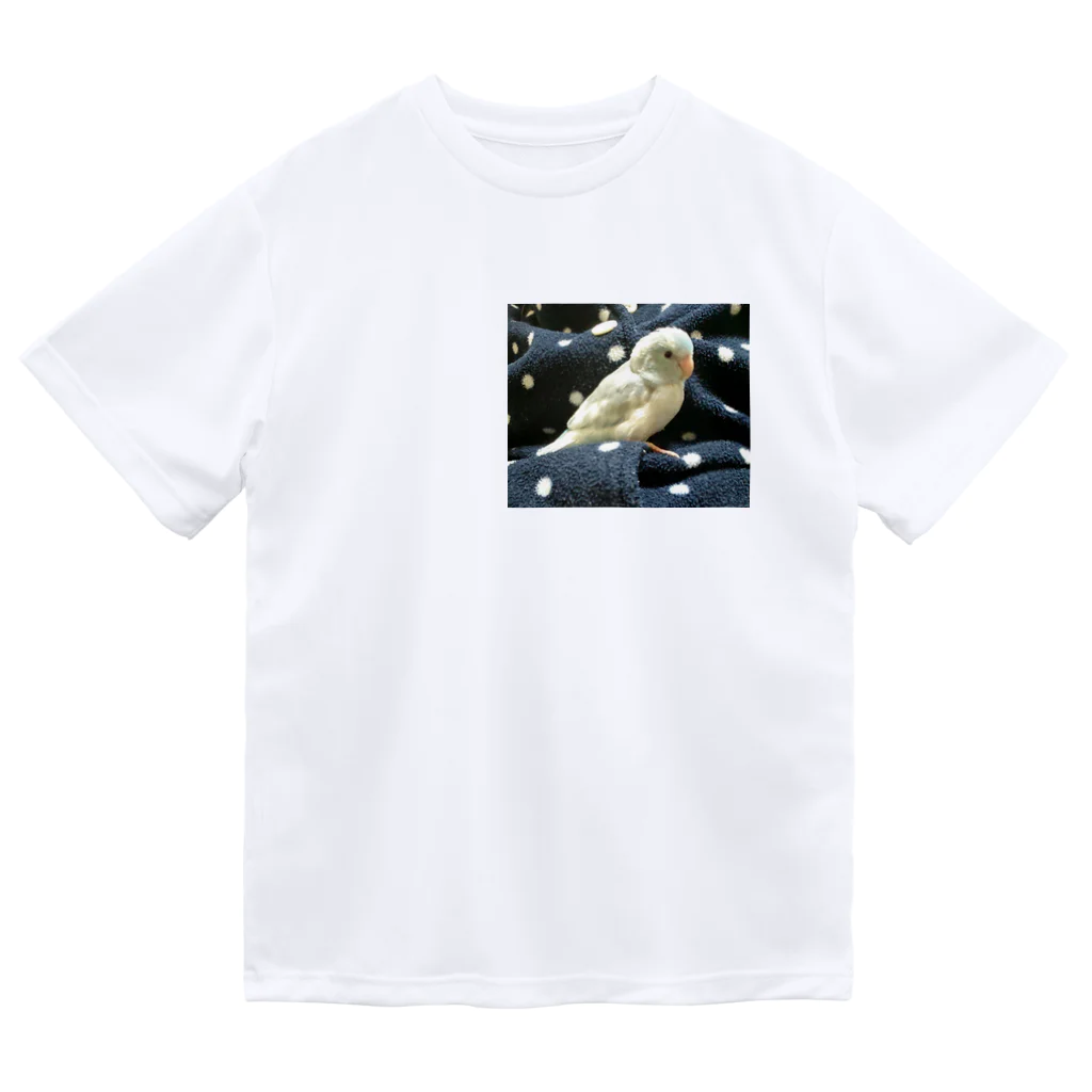 らんちゃんのマメルリハ Dry T-Shirt