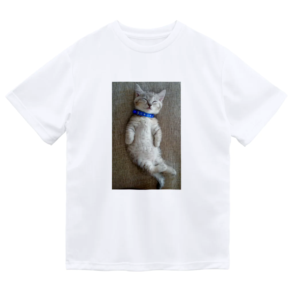 ひろみの猫スヤスヤマンチカン Dry T-Shirt