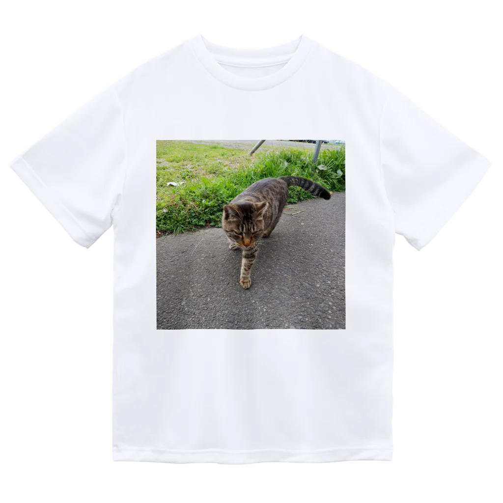 ながしっぽ from.さくらねこの家のとらちゃん　type.D Dry T-Shirt