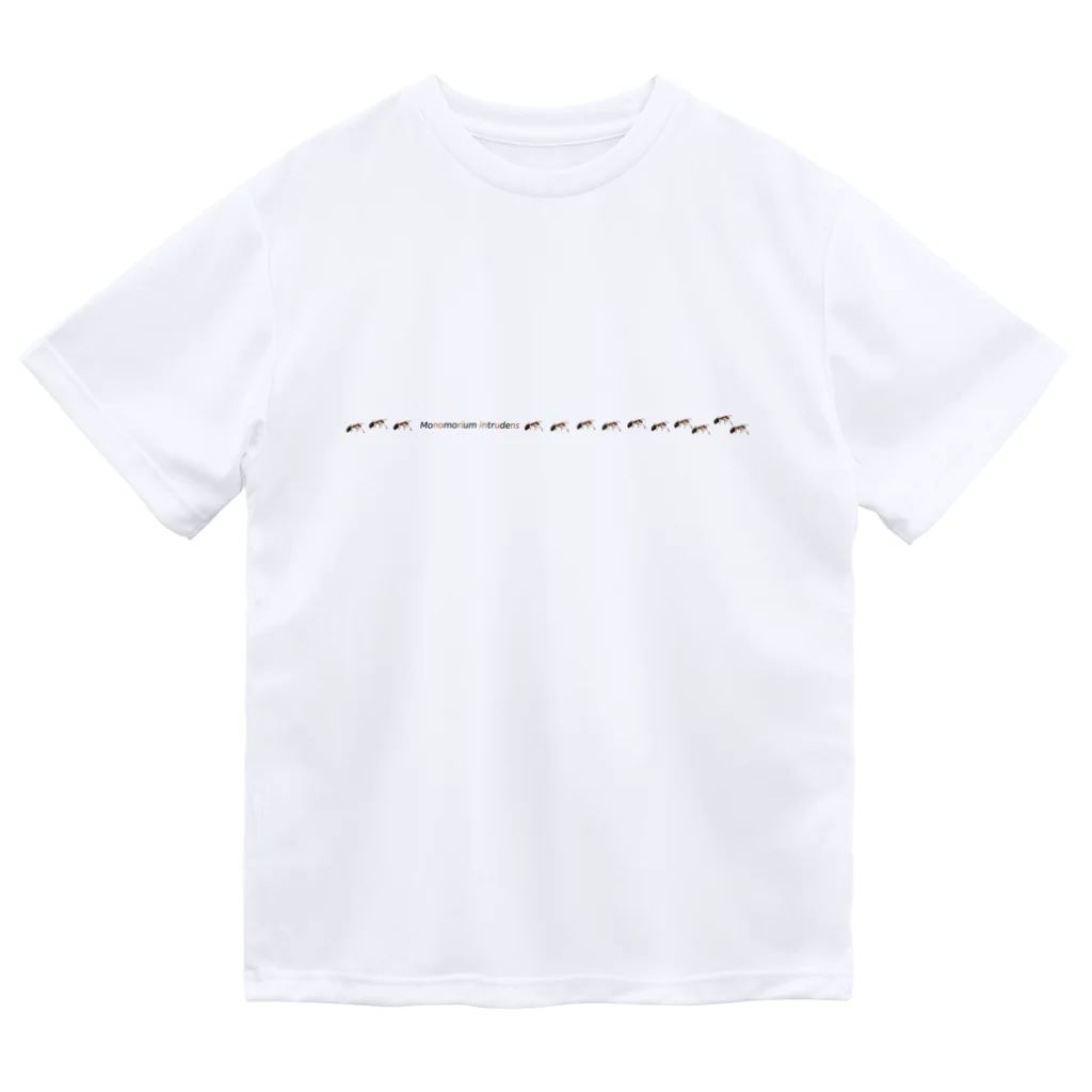 L_arctoaのヒメアリの行列 ドライTシャツ