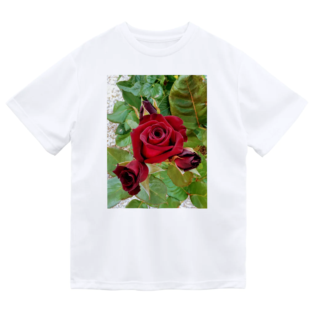 猫のhananyanの薔薇が咲いた～薔薇が咲いた～真っ赤な薔薇が～♩ Dry T-Shirt