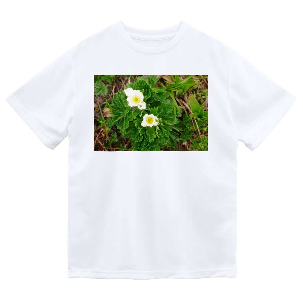 asako=niagaraの植物図鑑 ハクサンイチゲ② ドライTシャツ