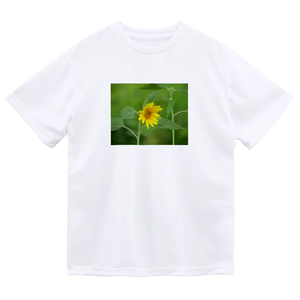 お散歩Photoの一輪のひまわり Dry T-Shirt