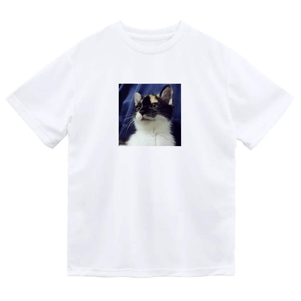 あ͓̽き͓̽ら͓̽の家にいるウリ ドライTシャツ