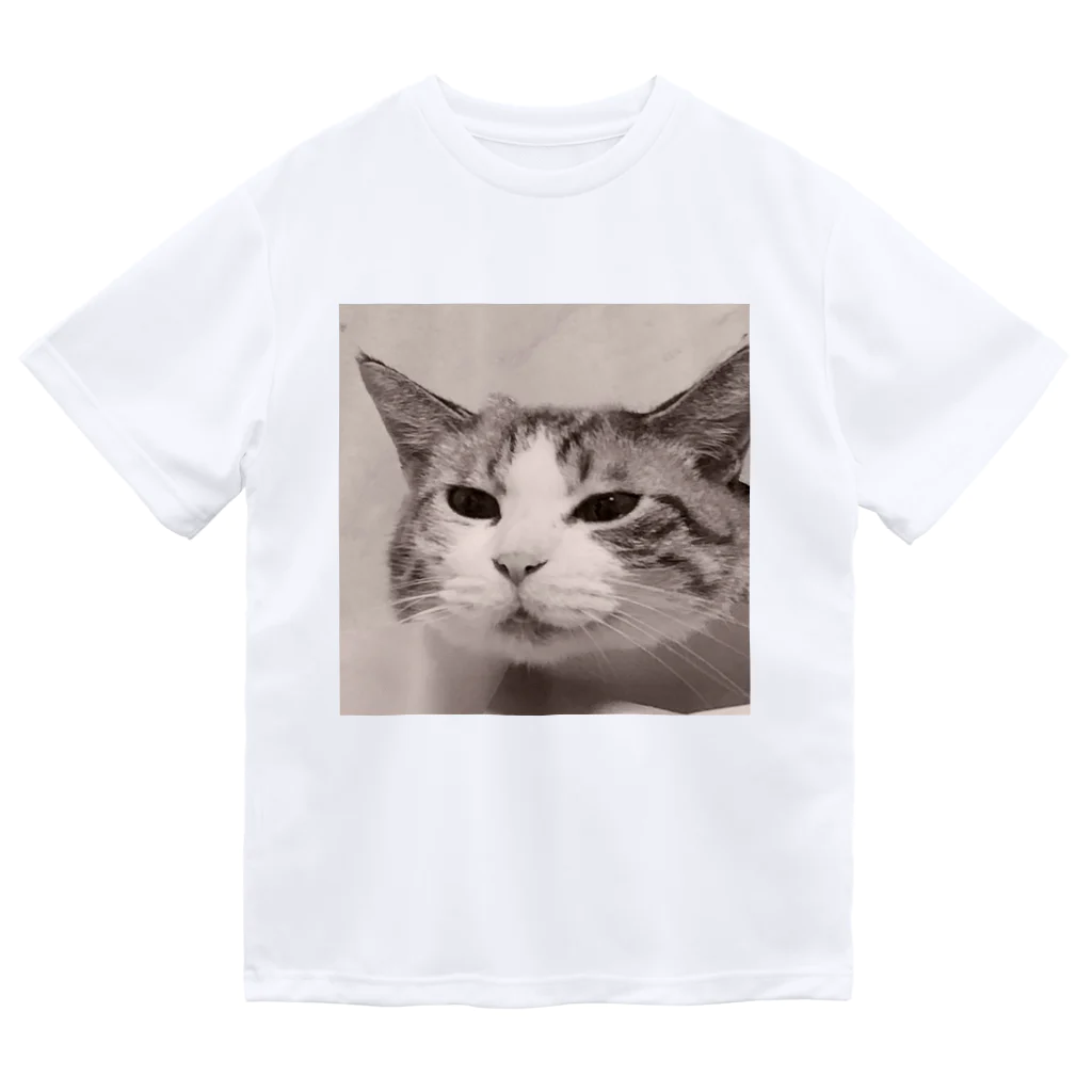 ジョリーマンダリンのSneezing cat ドライTシャツ