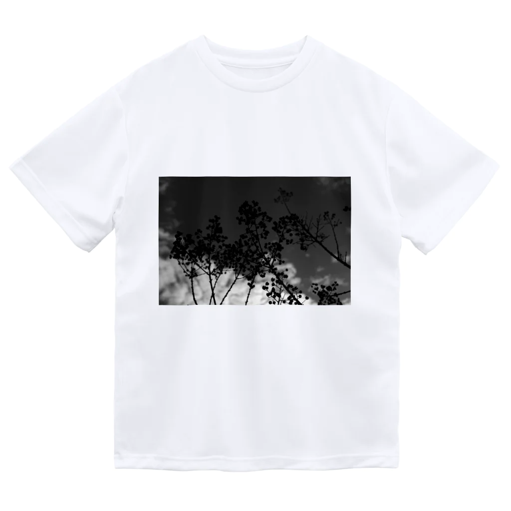 ばうんどれすゔぃじょんずの季節の変わり目のシドニー白黒写真 Dry T-Shirt