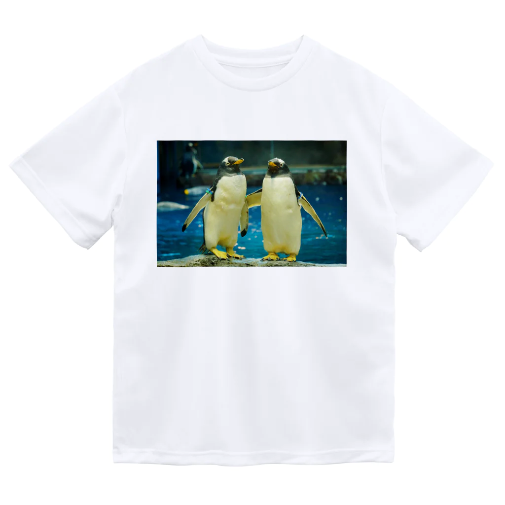 ペンギンの写真のジェンツーペンギン　写真　リアル　仲良し ドライTシャツ