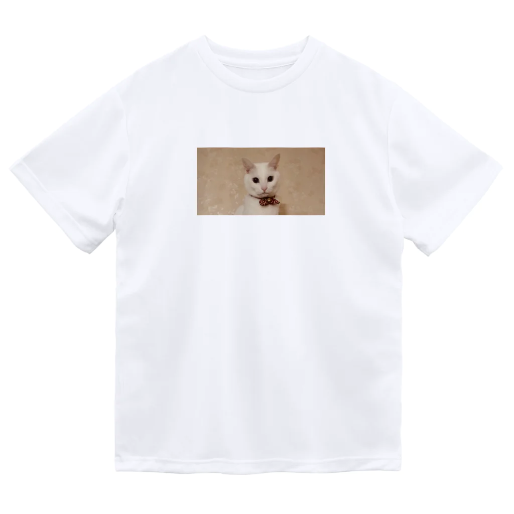 道端のしろねこのキメ Dry T-Shirt